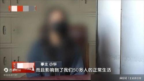 国产精品女厕所视频,揭秘现代女性如厕新体验