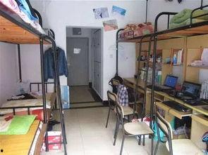 国产情侣学校宿舍视频,国产情侣宿舍生活揭秘