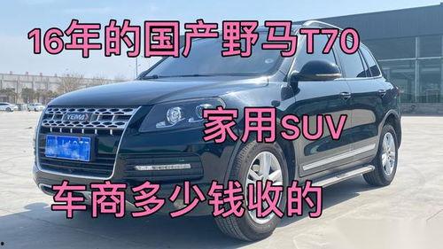 野马试驾视频国产,野马试驾视频深度解析