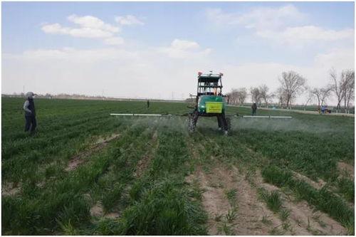 国产无人农场视频,国产无人农场技术革新展示