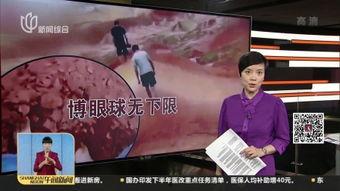 china国产免费踩踏视频下载,揭秘网络暗流涌动的危险地带