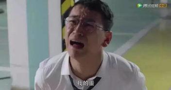 国产肉视频大全视频,尽享美味佳肴的视觉盛宴